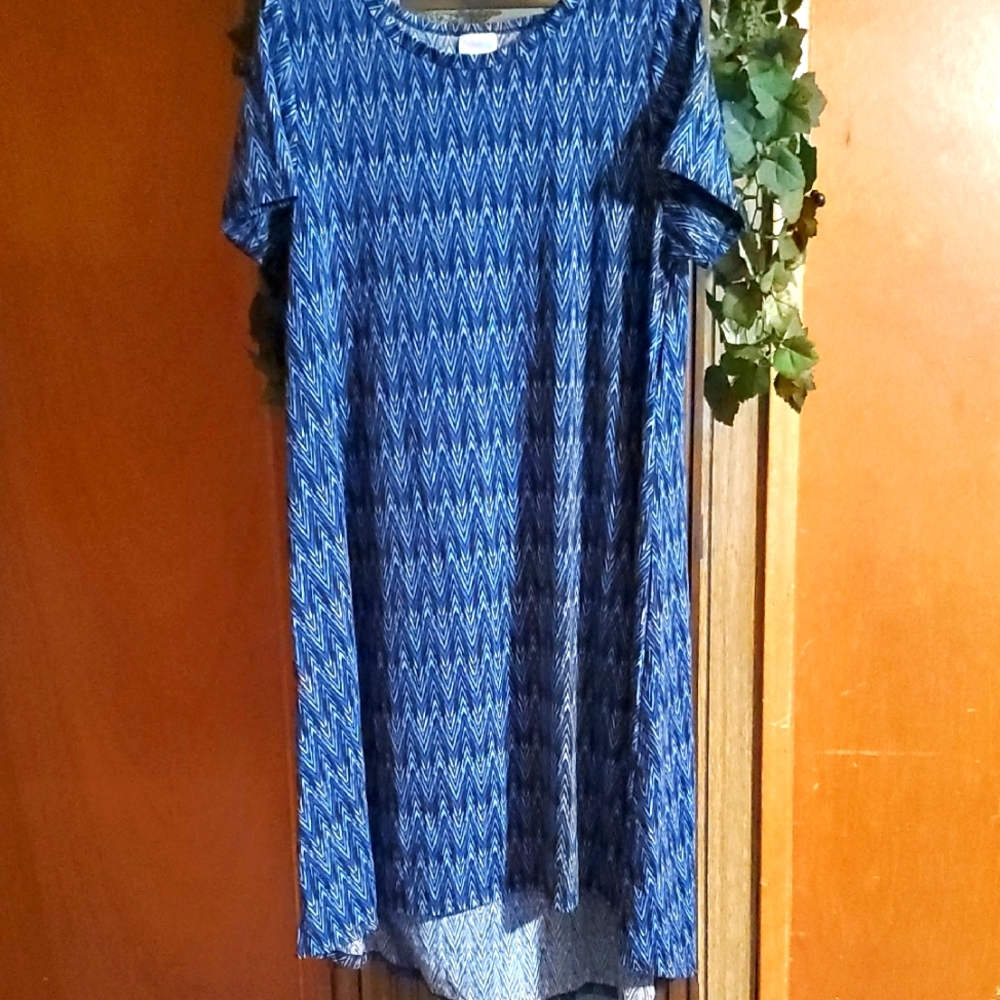 #CARL06 (CH) NWOT LuLaRoe Carly Swing Dress